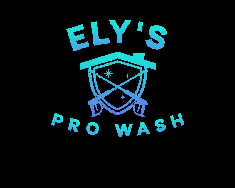 Ely’s Pro Wash
