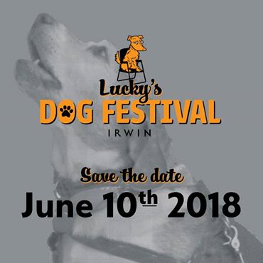 Lucky's Irwin Dog Festival