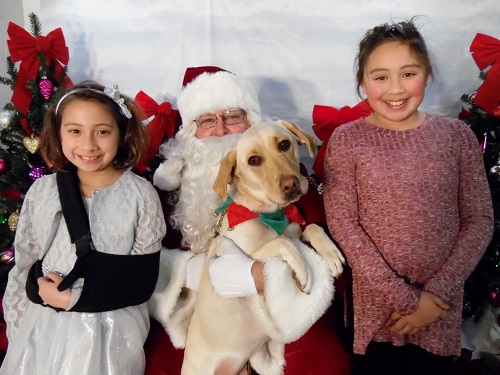Free Howl-iday Party - Pictures with Santa Paws